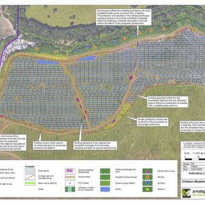 13MW community solar farm consented