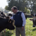 3MW solar farm to power cheese factory in Somerset